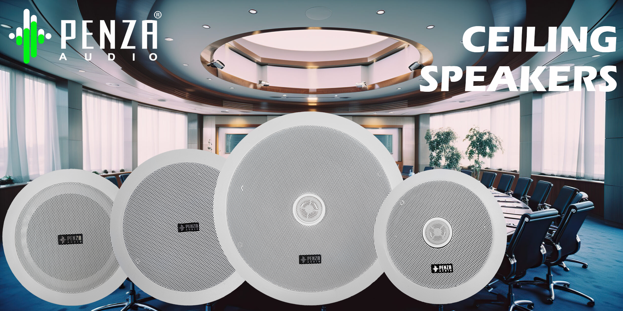 Ceiling Speaker (1)
