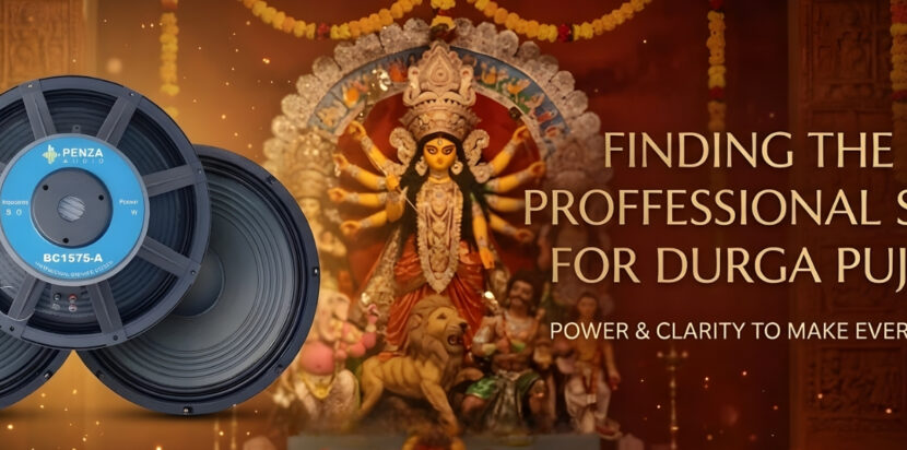 Best Professional Speaker for Durga Puja