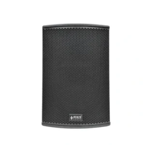 PA Cabinet Loudspeakers Monitor 15R2-P