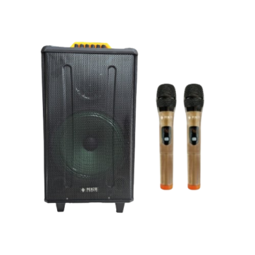 Penza Audio Portable Speaker